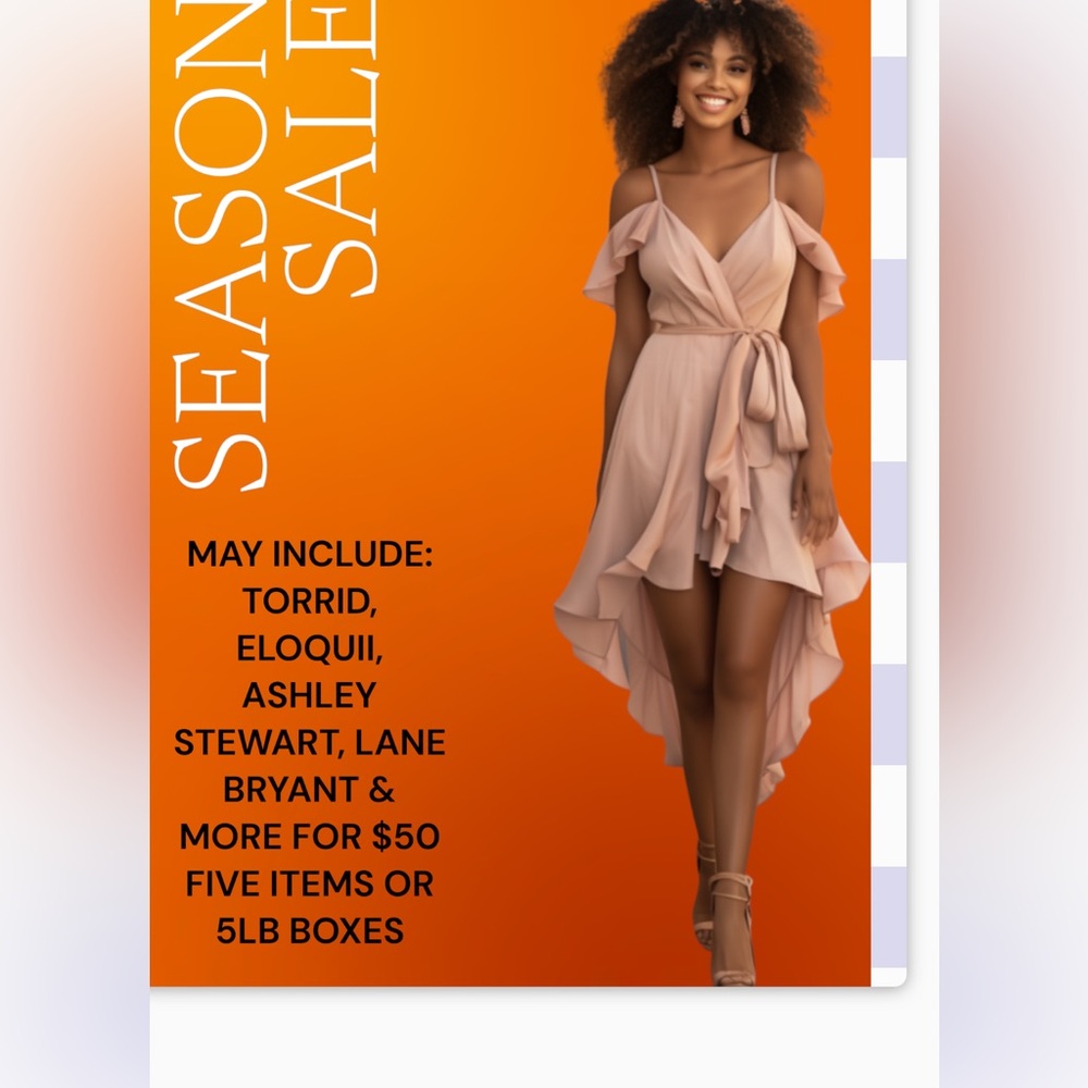 MYSTERY PLUS SZ $50 BOXES 1X UP 5X 5LB BXS MAY  INC ELOQUII ASHLEY STEWART MORE - Picture 4 of 4